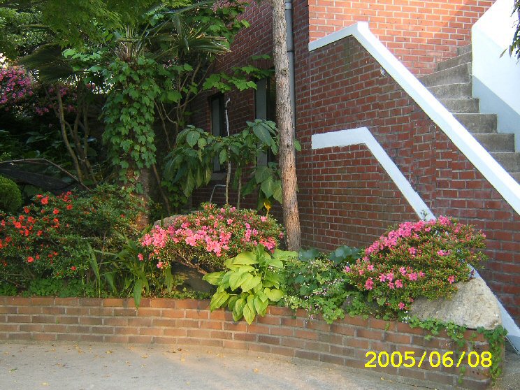 1 068.jpg